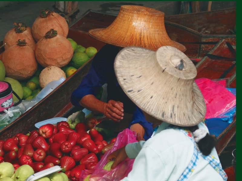 4282010_22439Masson Matthee frontcover.jpg