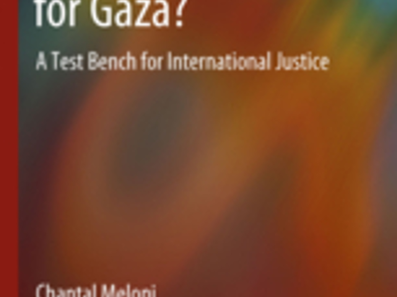 11292011_115535Cover Court for Gaza.jpg