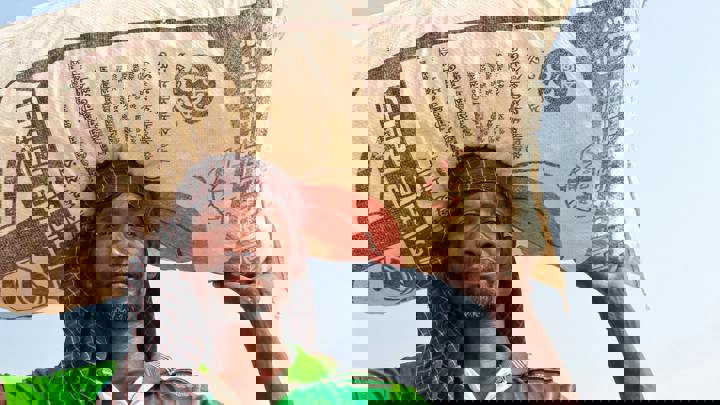 Pexels Utsab Ahamed Akash 277040125 12937611