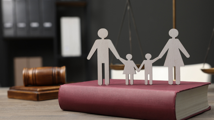 Private Intlaw Istock 1950390704