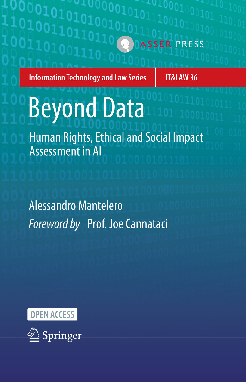 Beyond Data - Human Rights, Ethical and Social Impact Assessment in AI